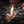 Load image into Gallery viewer, Zippo Tinder Shreds