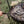 Load image into Gallery viewer, Barebones Cowboy Grill Coal Shovel
