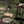 Load image into Gallery viewer, Barebones Cowboy Grill Ladle