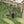 Load image into Gallery viewer, Barebones Cultivator