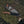 Load image into Gallery viewer, Barebones No.6 Field Knife