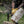Load image into Gallery viewer, Barebones Pulaski Axe and Waxed Canvas Sheath