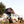 Load image into Gallery viewer, Roof Space 2