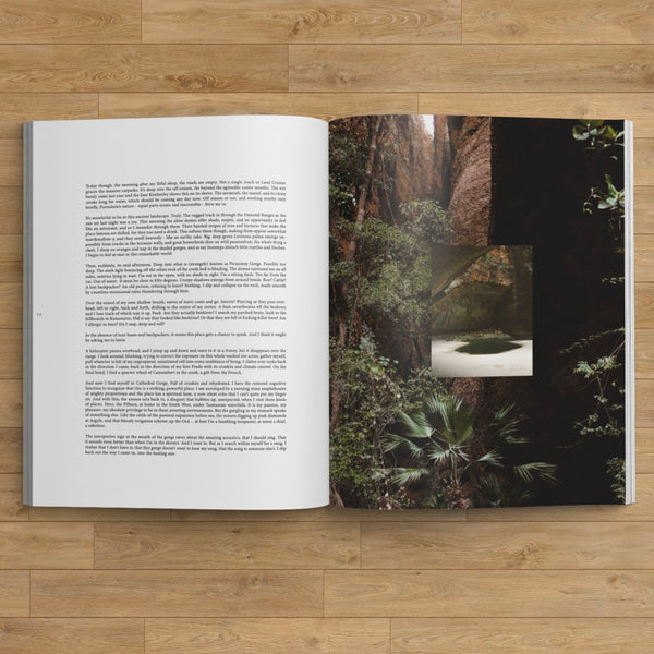 Fern Magazine – Issue 3