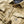 Load image into Gallery viewer, Roark Diablo Polar