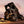 Load image into Gallery viewer, iKamper Blue Dot Voyager - BDV Duo