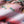 Load image into Gallery viewer, Roark Shorey 16"