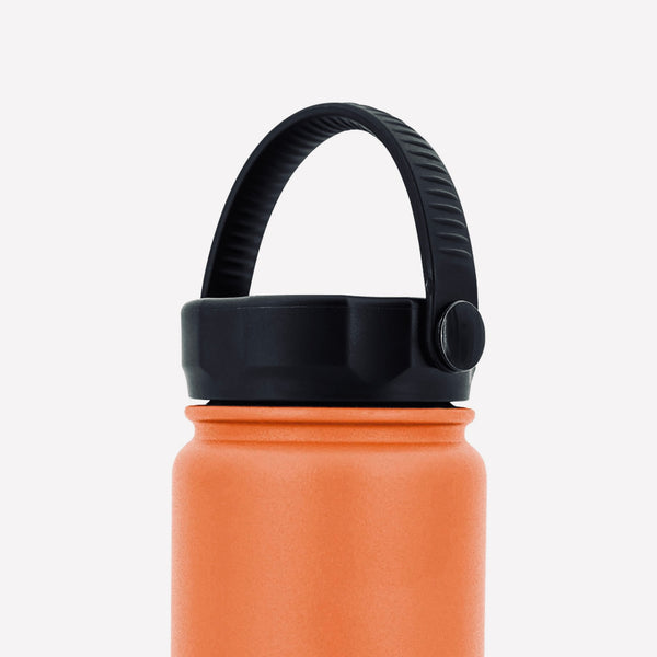 Project Pargo 750ml Premium Insulated Water Bottle