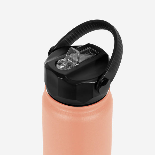 Project Pargo 750ml Insulated Sports Bottle