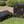 Load image into Gallery viewer, Ammo Boxes
