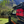 Load image into Gallery viewer, Jimny Jerry Cans
