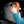 Load image into Gallery viewer, Modular Fold-Up Duffle Bag
