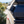 Load image into Gallery viewer, RT-4S Family Rooftop Tent
