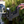 Load image into Gallery viewer, Tow Bar Step
