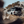 Load image into Gallery viewer, Explorer Canopy to suit Toyota Hilux N80 (2016 -2025)
