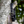 Load image into Gallery viewer, Trail Buddy Dog Collar
