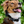 Load image into Gallery viewer, Trail Buddy Dog Collar
